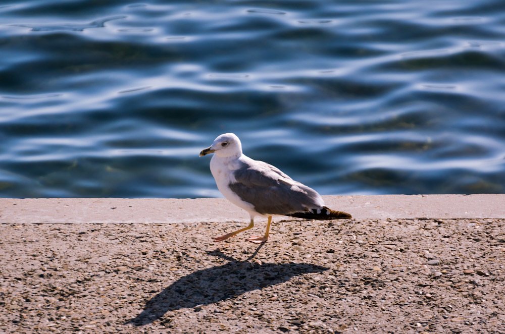 Photograph by Наталья Вялых