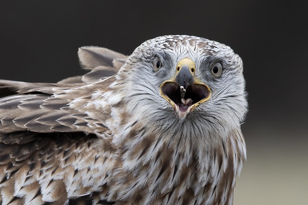 Photograph by Ernestas Balcikonis