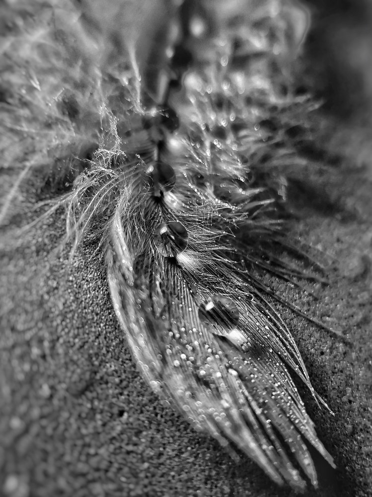 Photograph by Оксана Маракушина