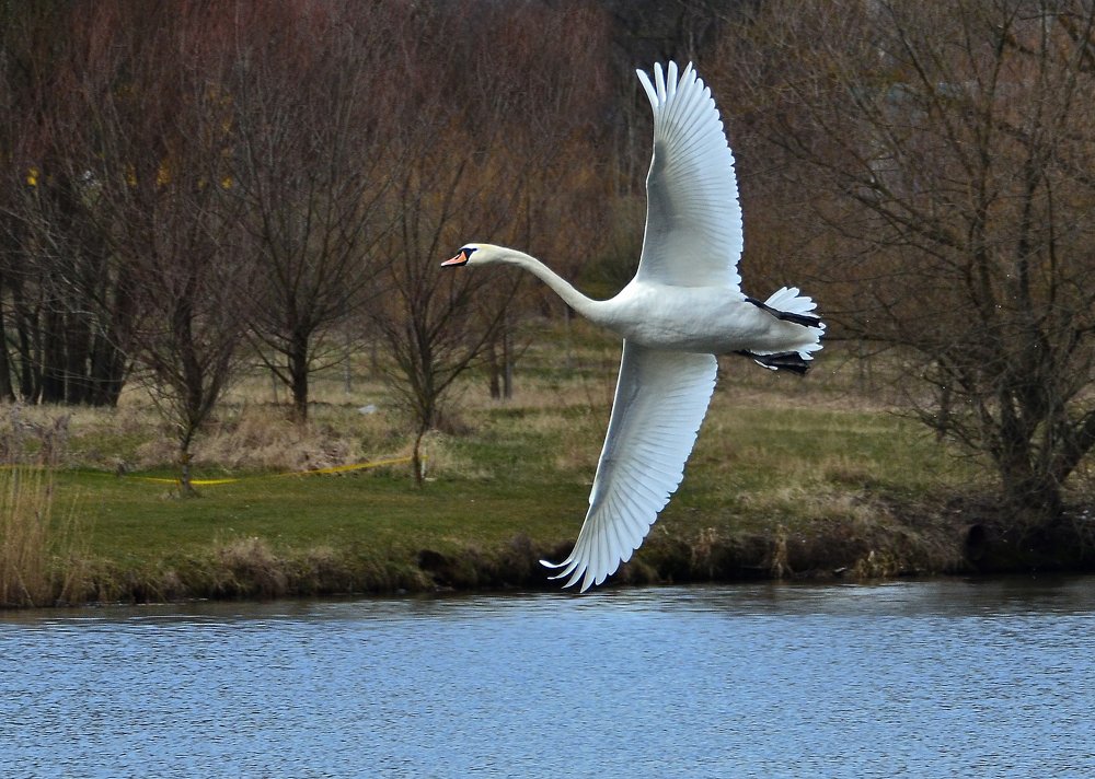 Фотография автора Антип