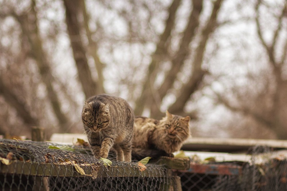 Photograph by Виктория Бурова