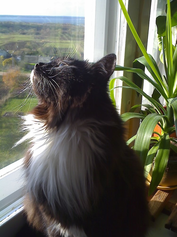 Photograph by Юлия