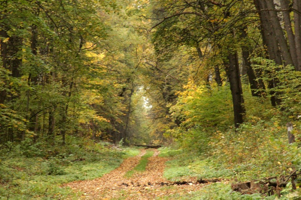 Photograph by Лада Денисова