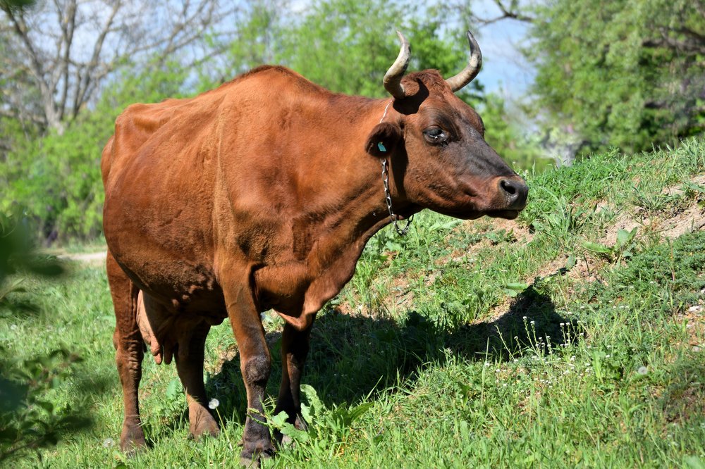 Photograph by Наталья Вялых