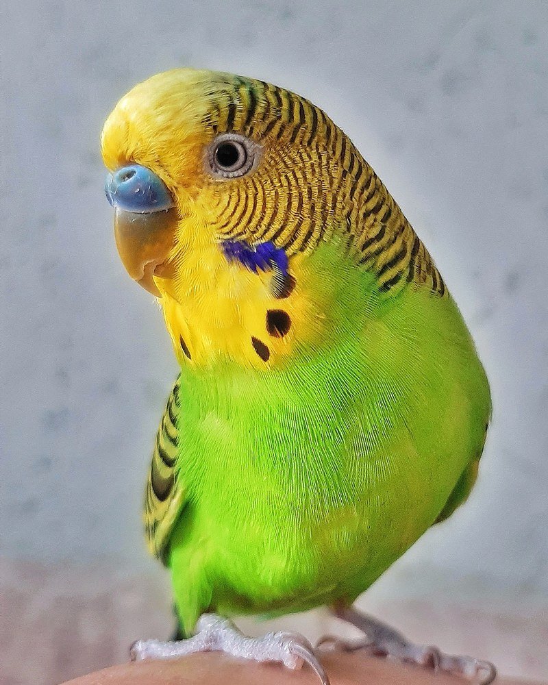 Photograph by Ирина Курицына