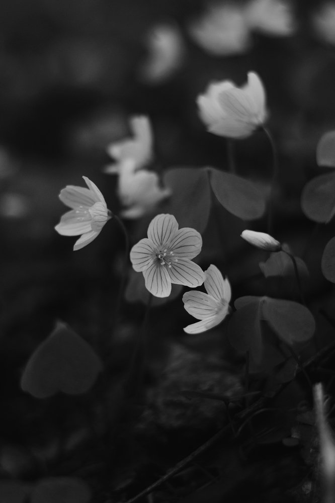 Photograph by Maria Filatova