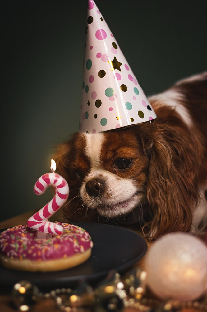 День рождения