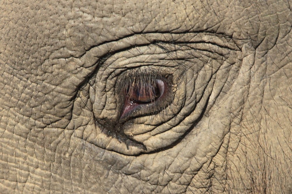 Photograph by Лада Денисова