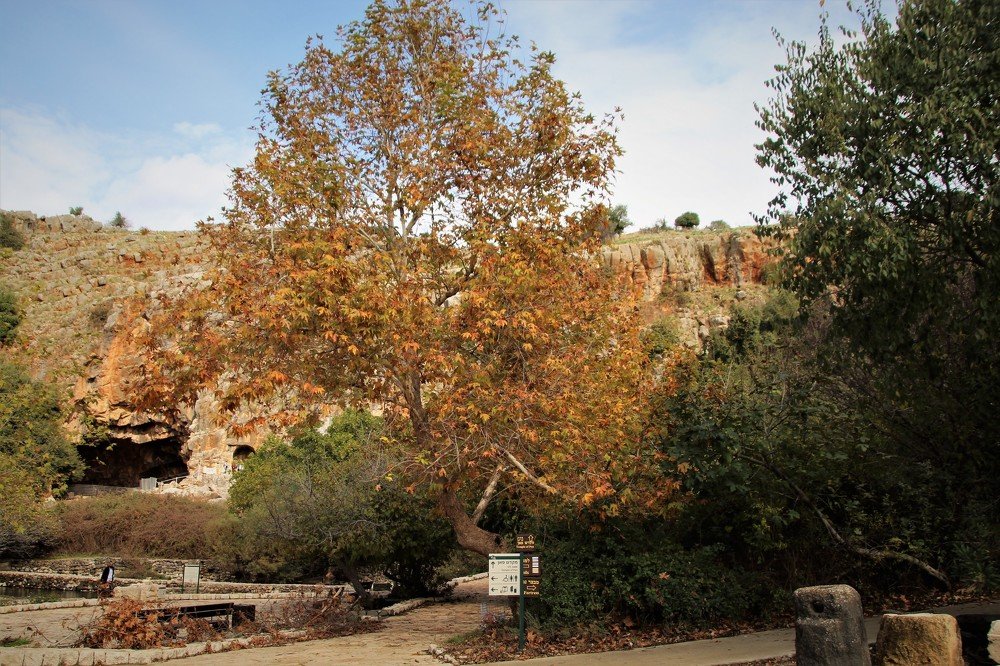 Photograph by Людмила Бутова