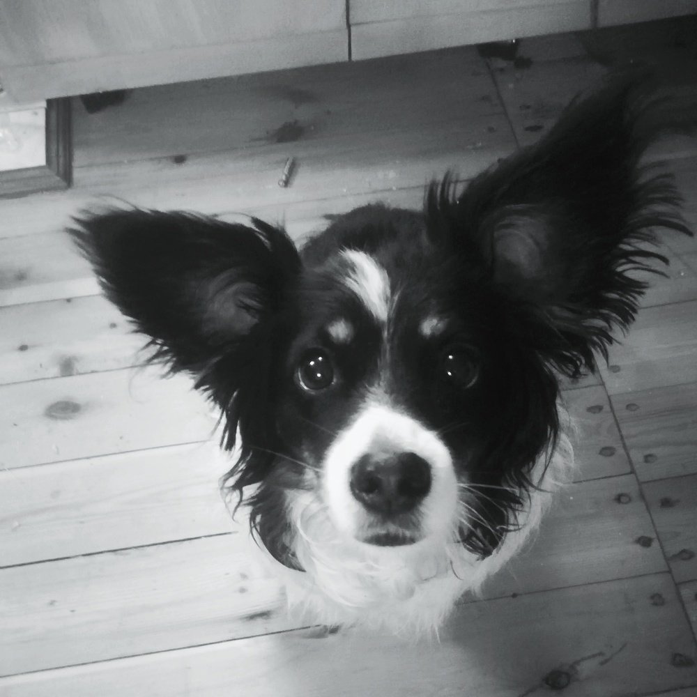 Photograph by Оксана Шевченко