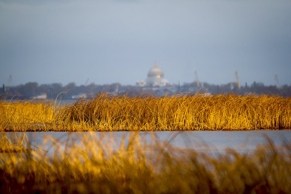 Photograph by Андрей Костромин