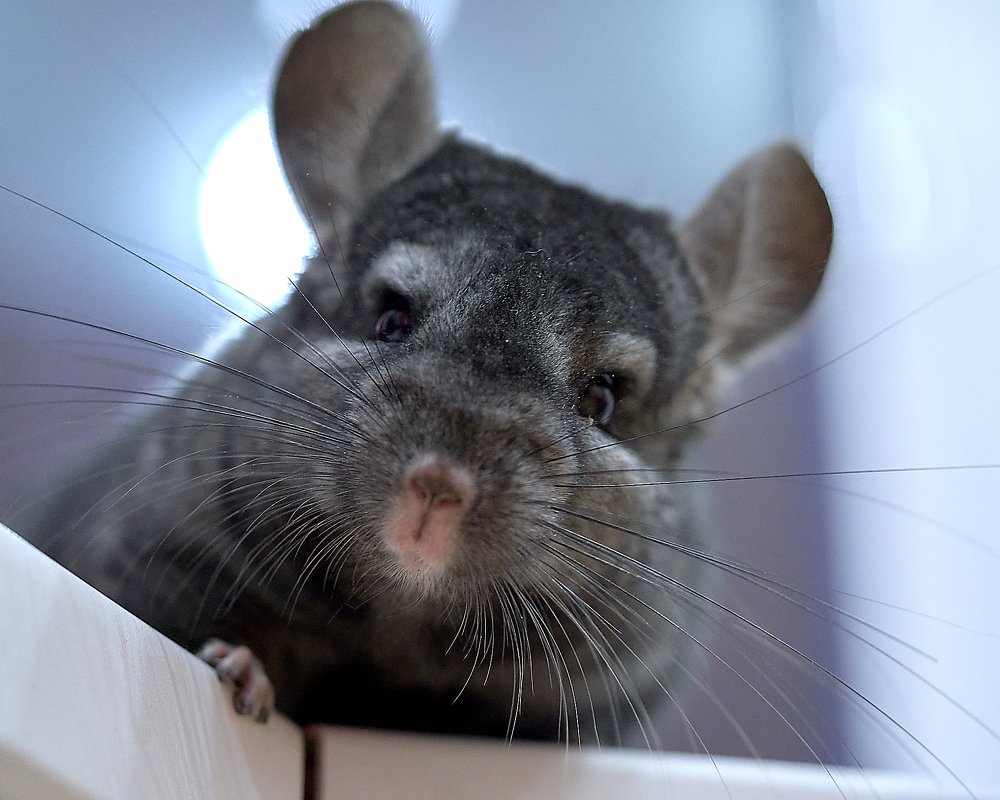 Photograph by Елена Мормоль