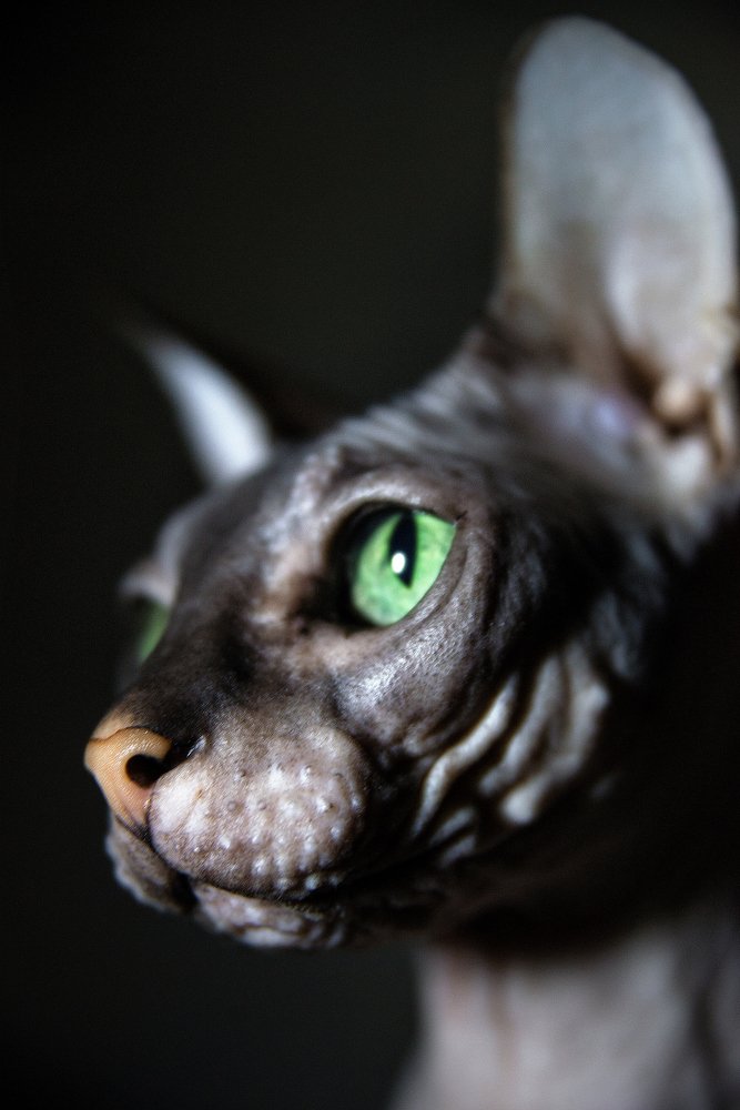 Photograph by Юлия Яровая