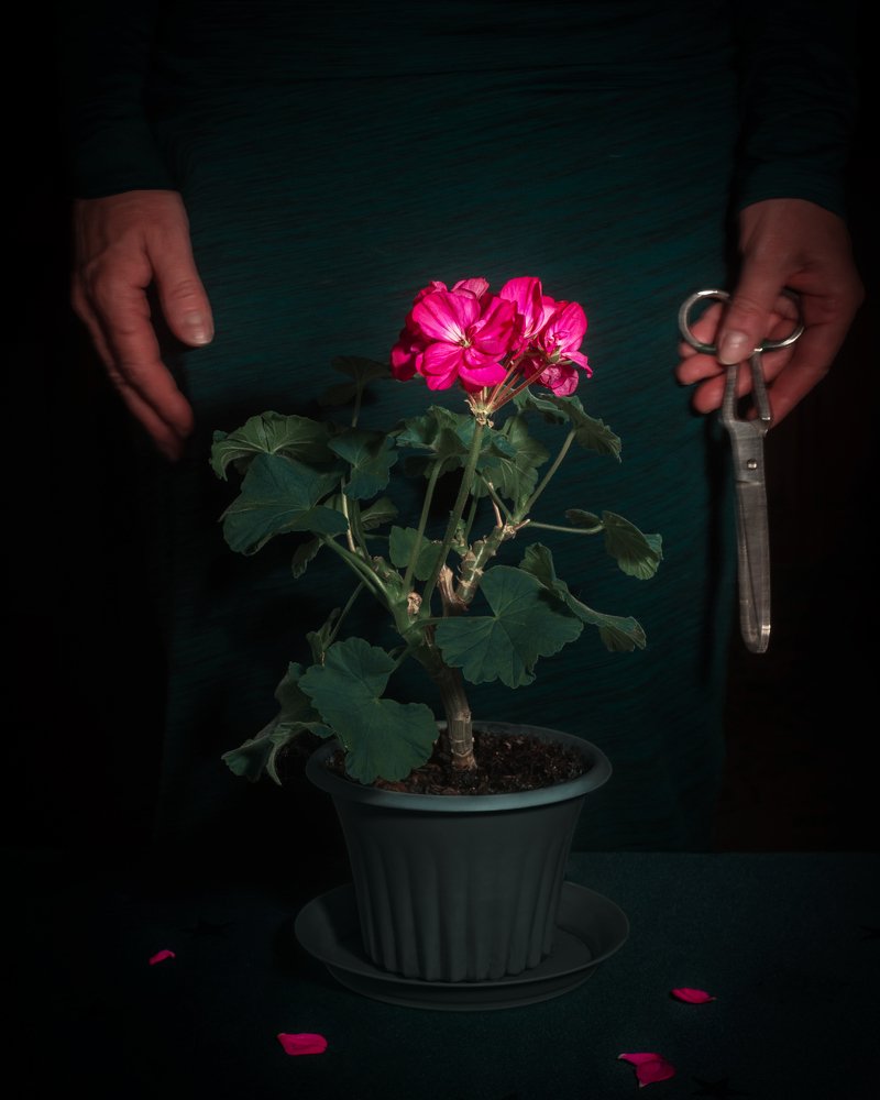 Photograph by Маликова Марина