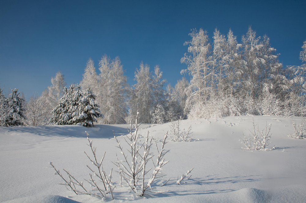 Photograph by Лариса Максименко