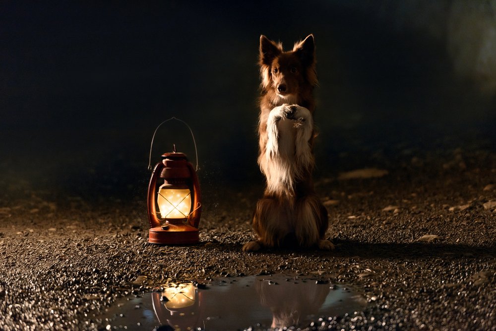 Photograph by Irina Kovaleva