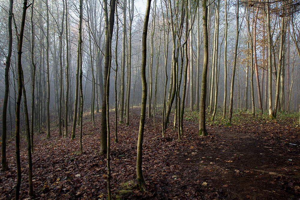 Photograph by Андрей Костромин