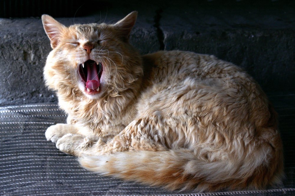 Photograph by Наталья Вялых