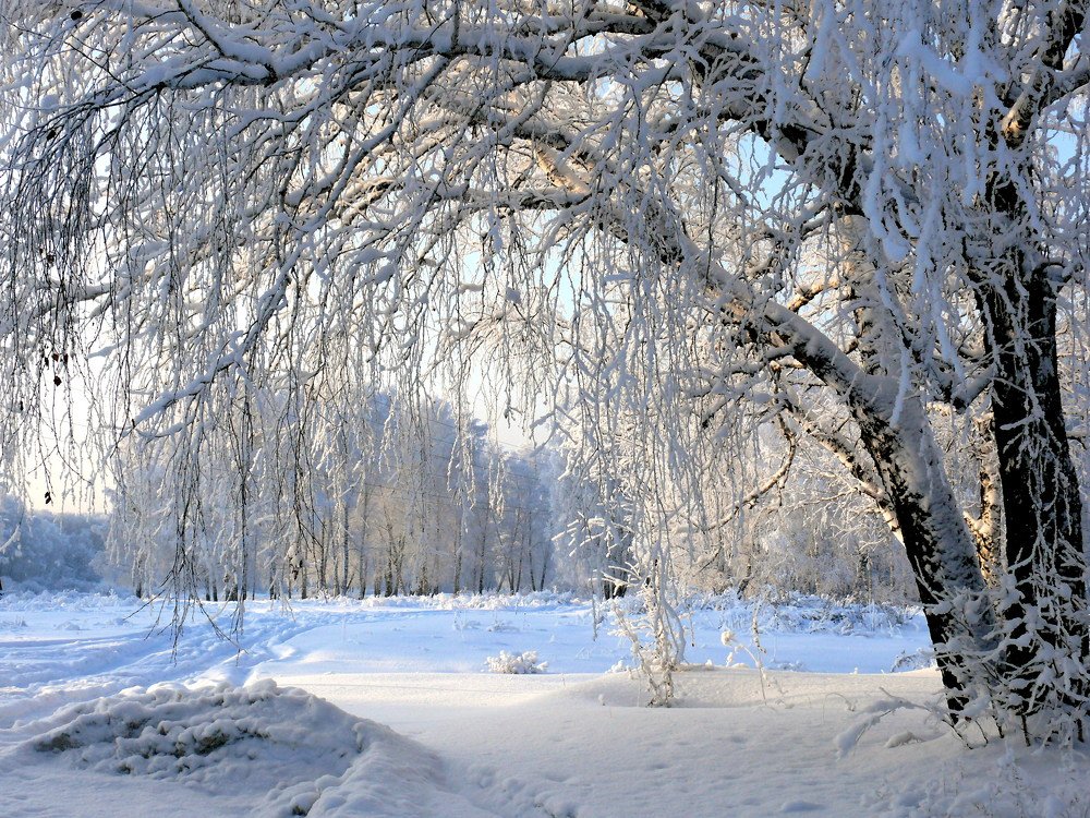 Photograph by Лариса Максименко