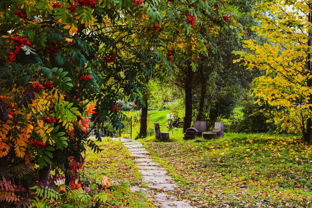 Photograph by Светлана Перминова