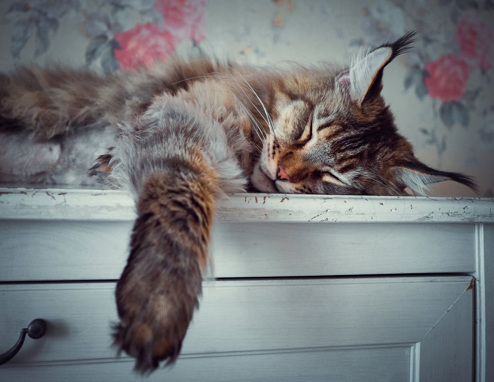 Photograph by Анатолий Щербак