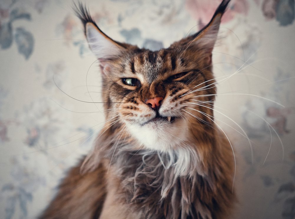 Photograph by Анатолий Щербак