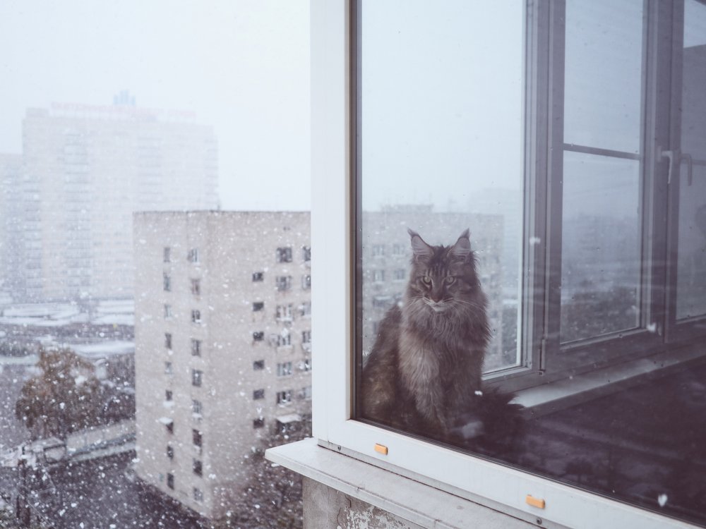 Photograph by Анатолий Щербак