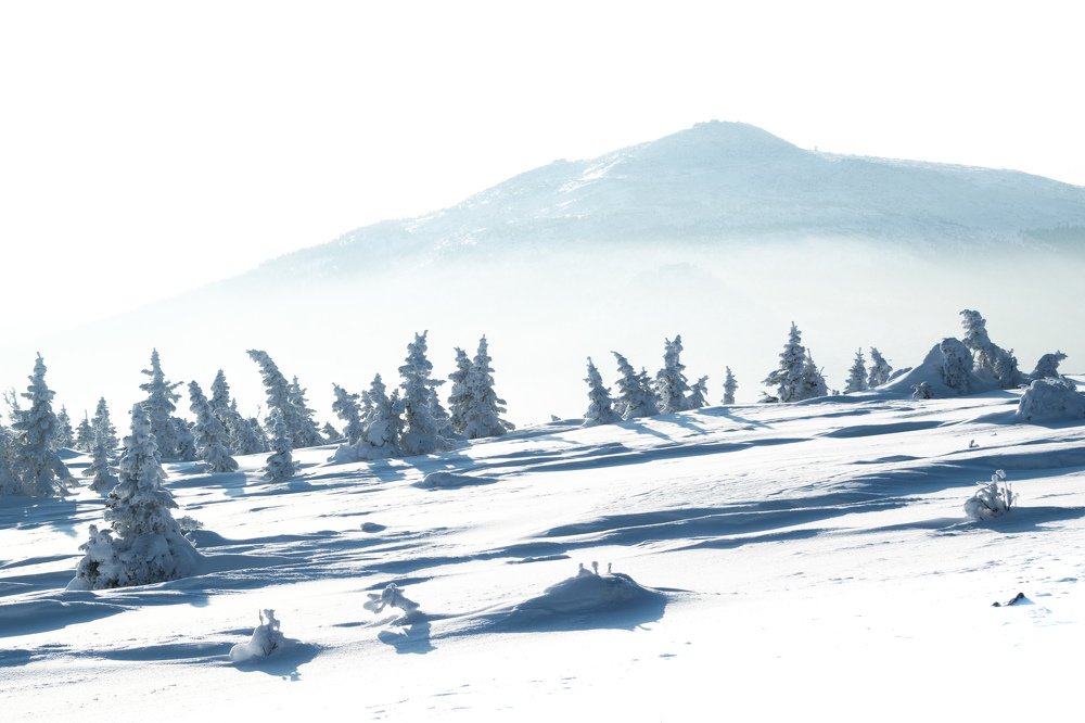 Photograph by Елизавета Никулина