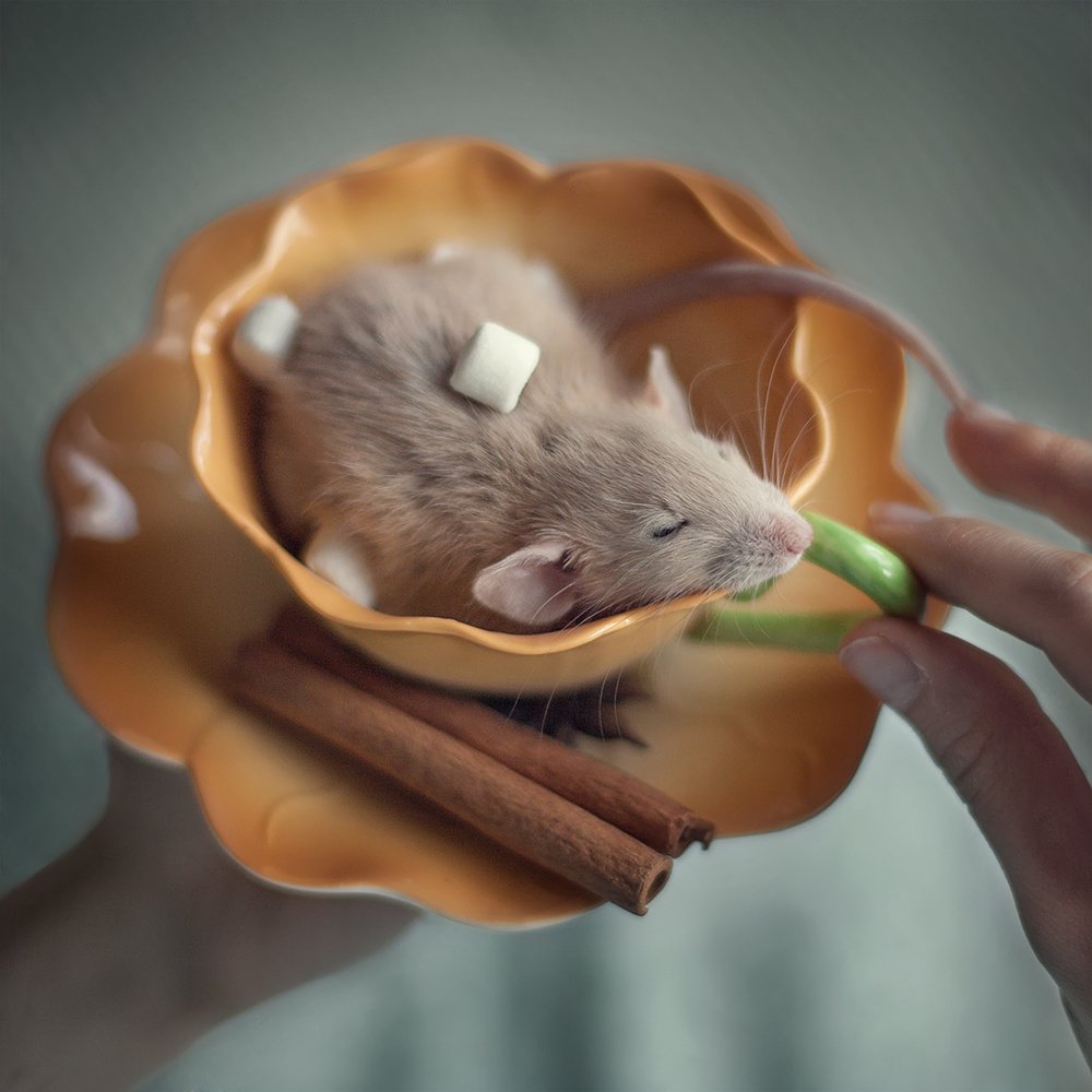 Photograph by Ксения Яруш