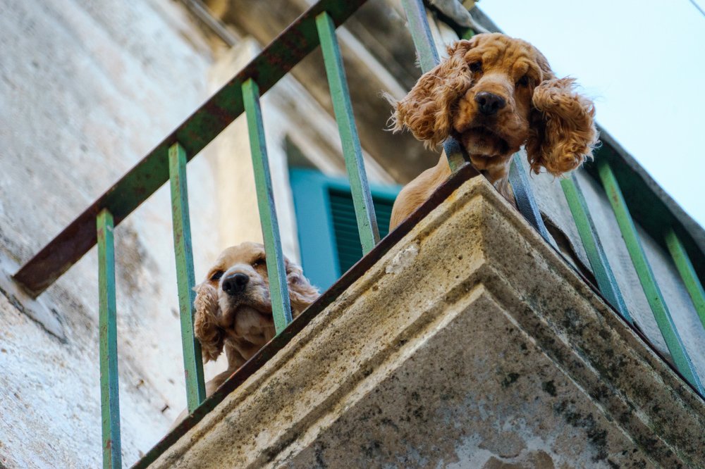 Фотография автора Нина Кулишова