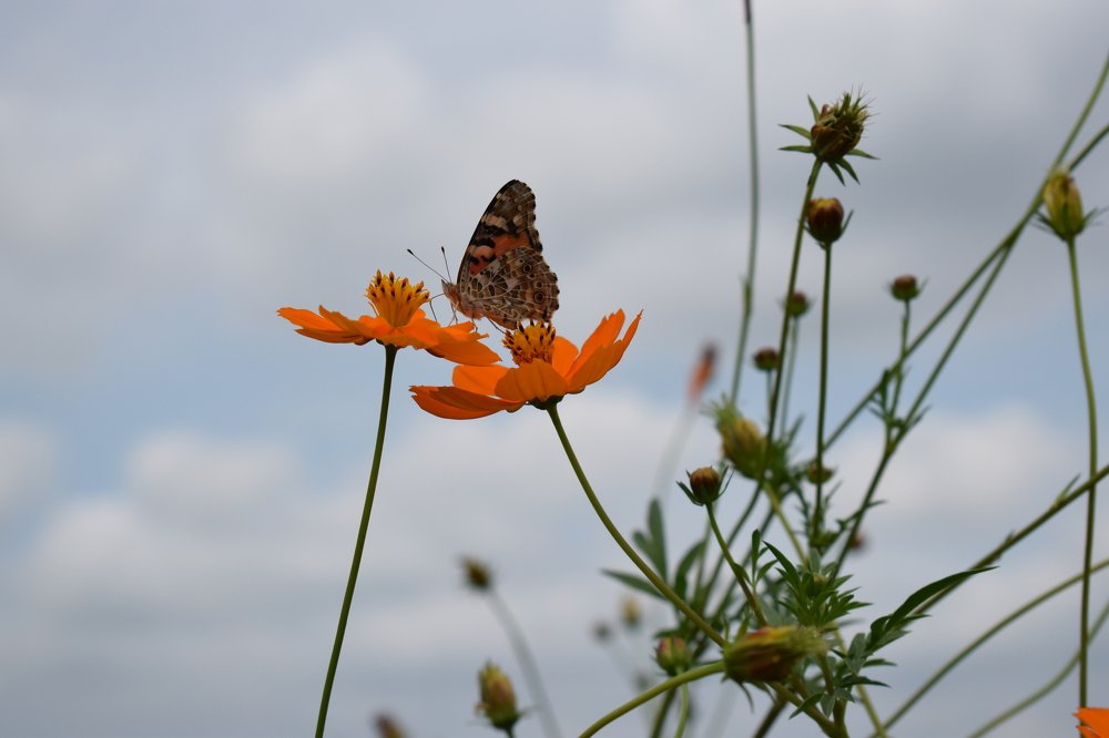Photograph by Наталья Вялых
