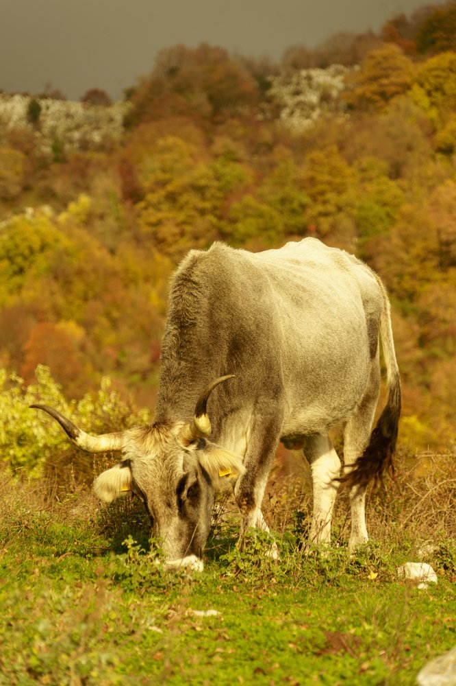 Фотография автора Нина Кулишова
