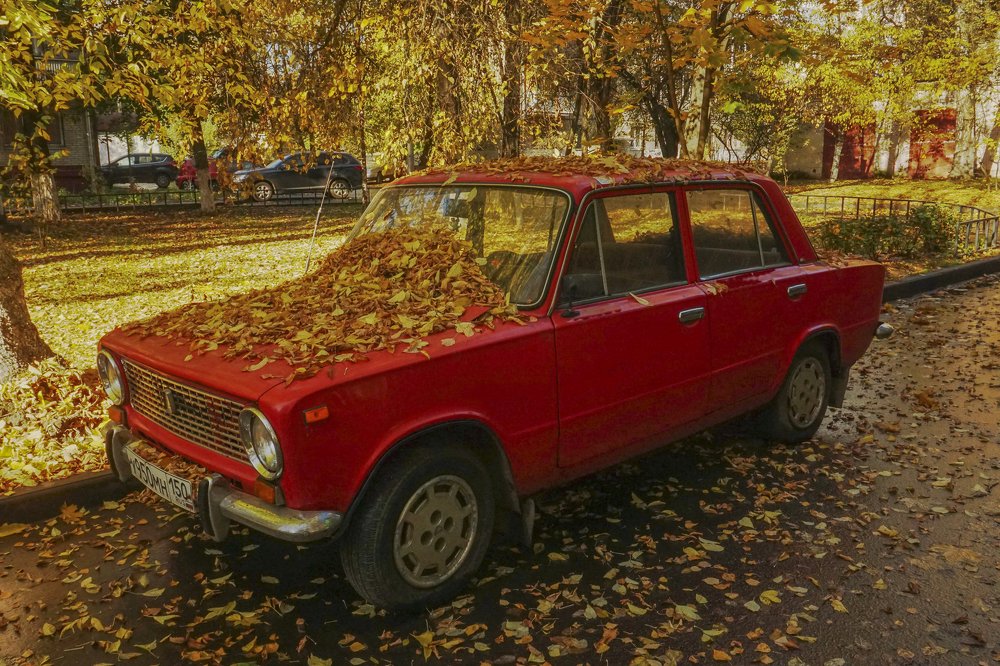 Photograph by Елена Никонова