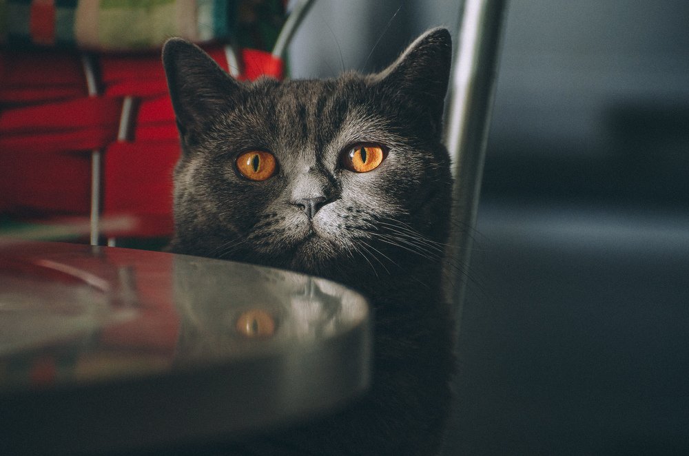 Photograph by Alekseu Maslovskiy