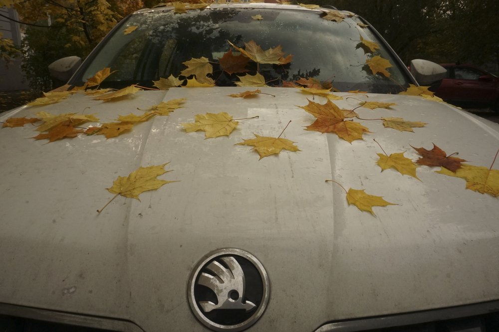 Photograph by Елена Никонова