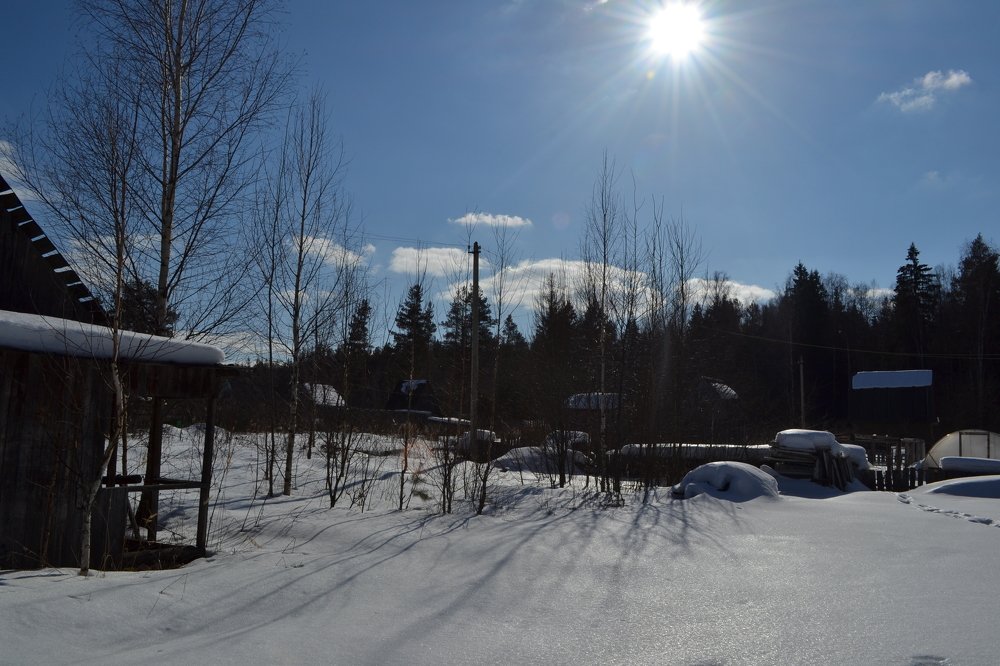 Зимний день