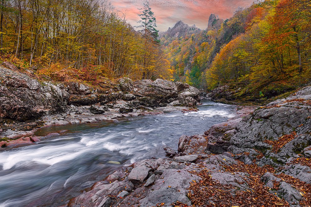 Photograph by Владимир Ушаров