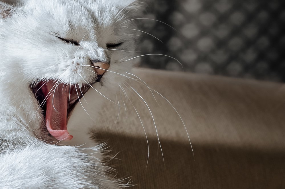 Photograph by Alekseu Maslovskiy