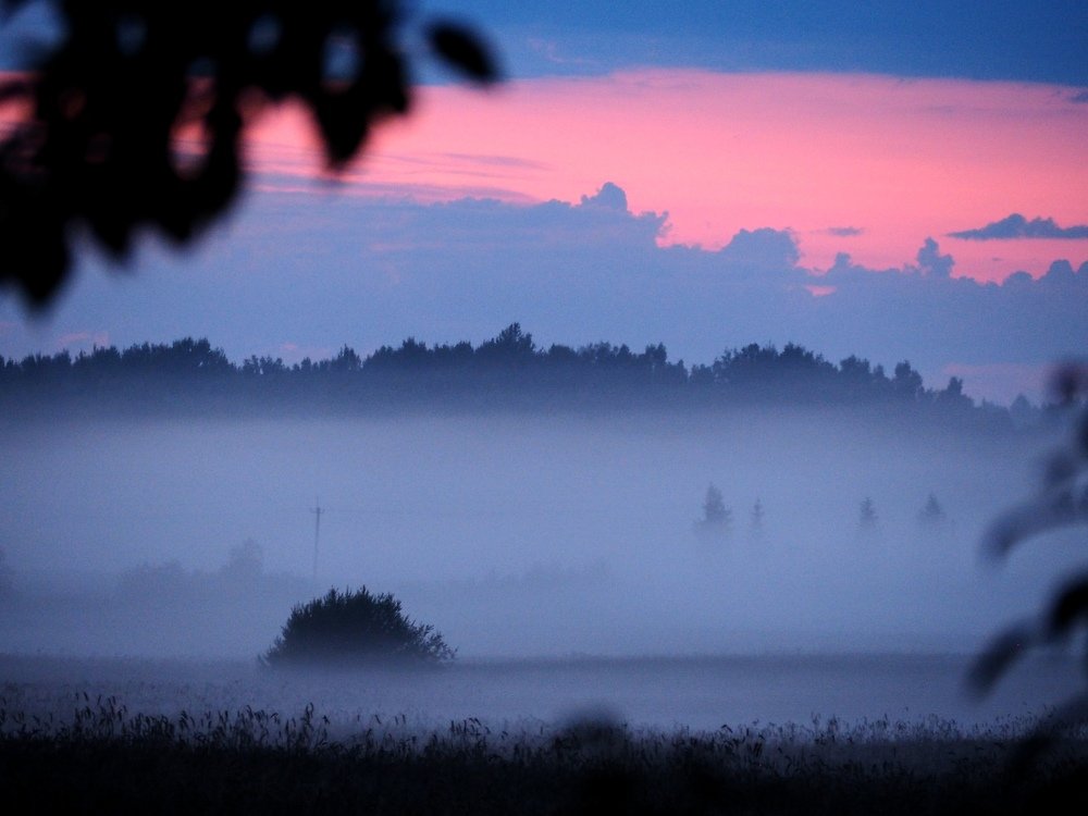 Photograph by Наталья