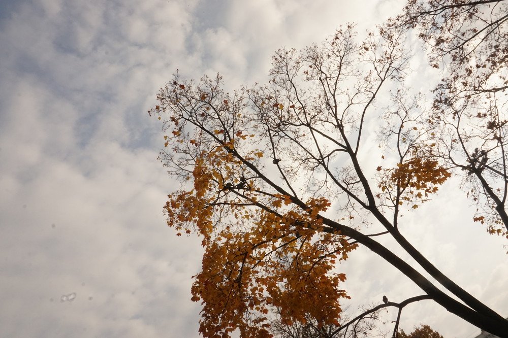 Photograph by Елена Никонова