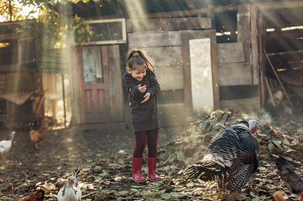 Photograph by Эля Цишба