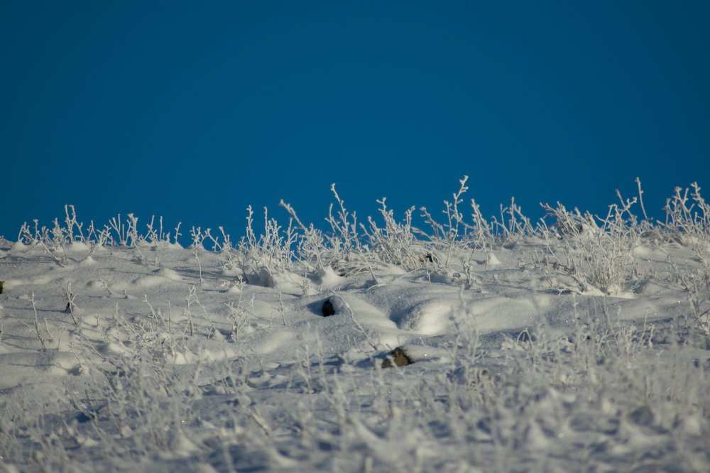 Photograph by Александра Лукашевич