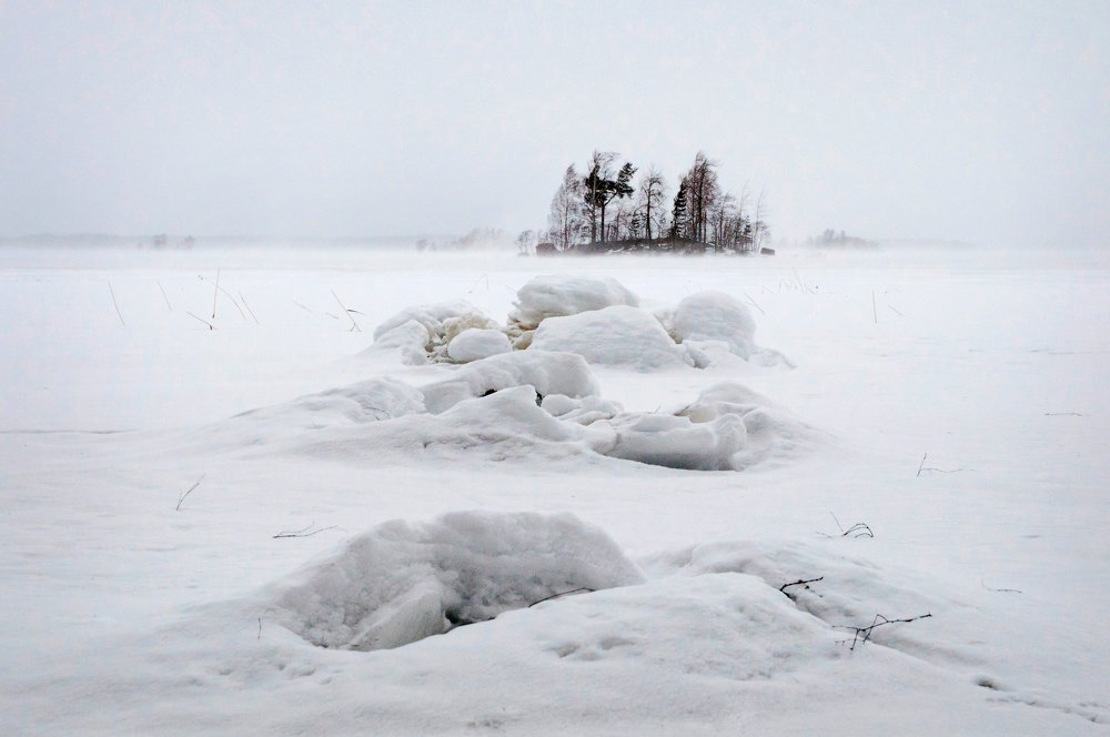 Photograph by Мария Бутягина