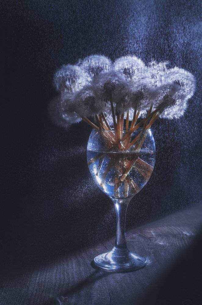 В свете луны...