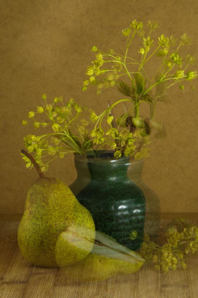 Photograph by Елена Шавшина