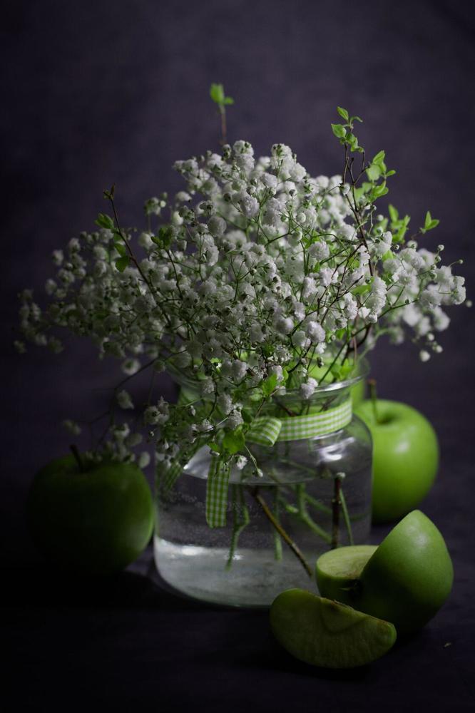 Photograph by Елена Шавшина