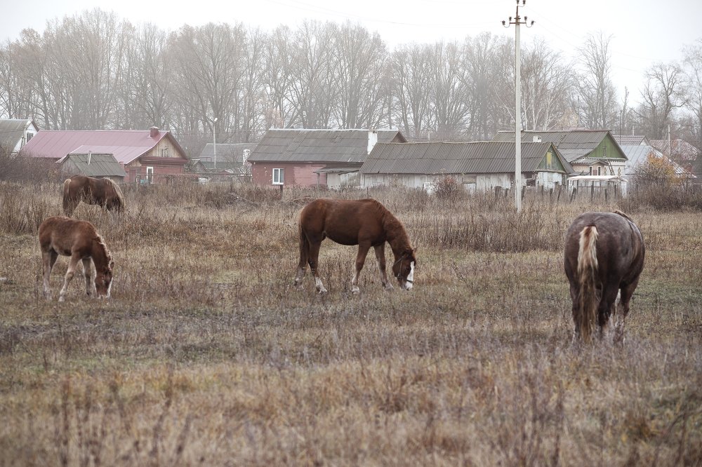 Photograph by Богдан Тарасов