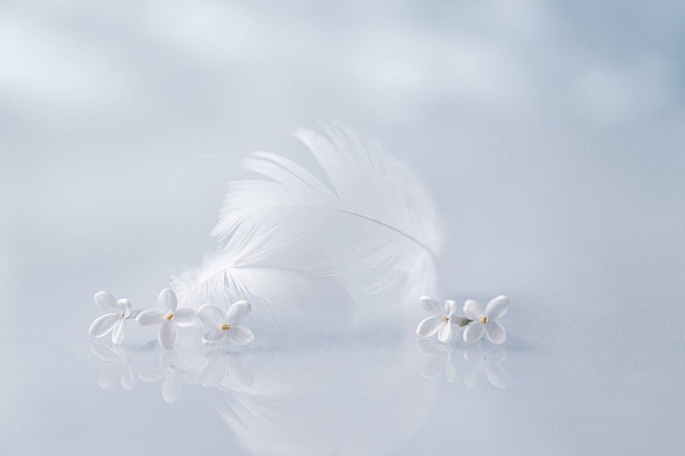 leitmotiv of spring...