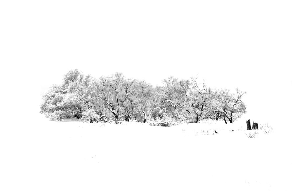 Photograph by Богдан Тарасов