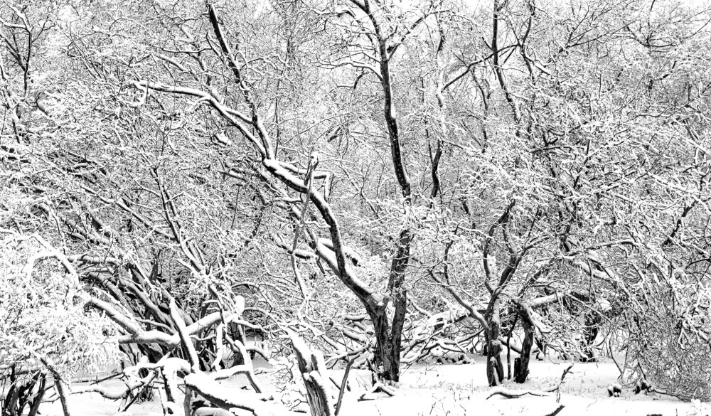 Photograph by Богдан Тарасов